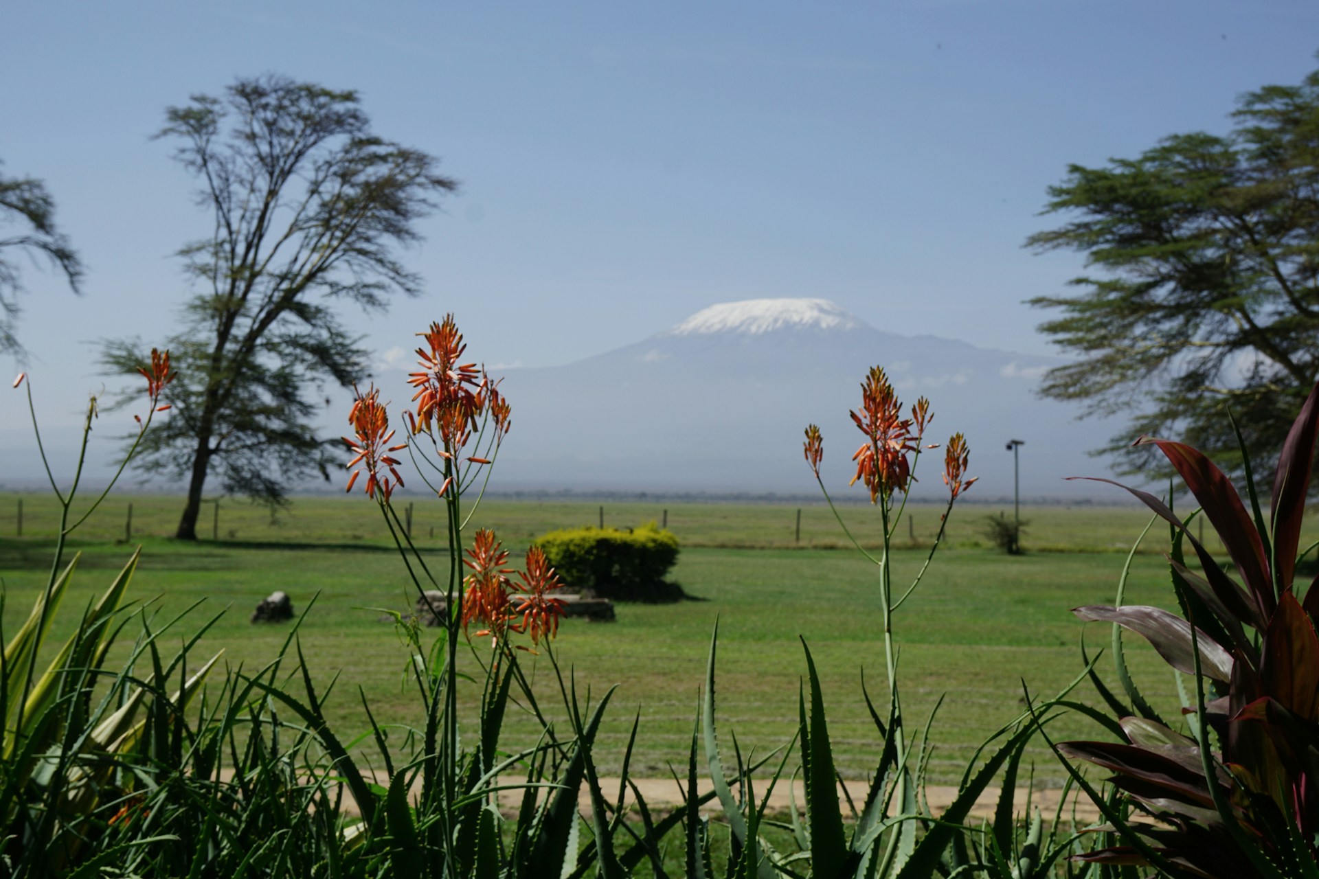Amboseli