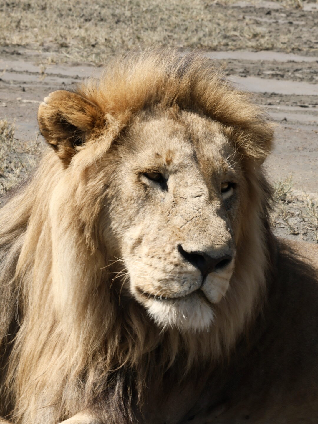 Kenya